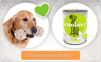 Zoolove_perro