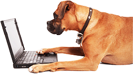 perro-ordenador