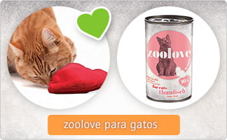 zoolove_gato