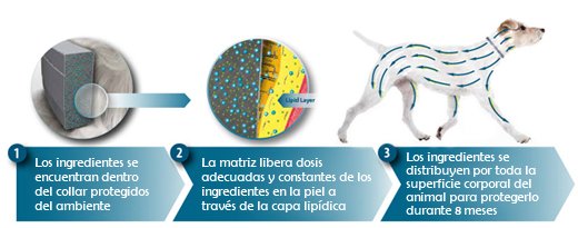 Proceso_Seresto