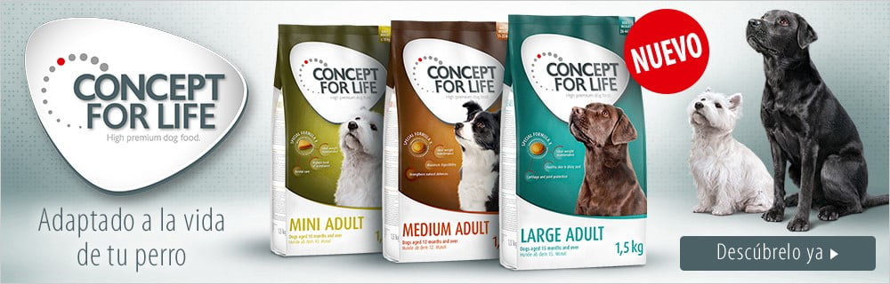 concept-for-life-nuevo_sitandplas