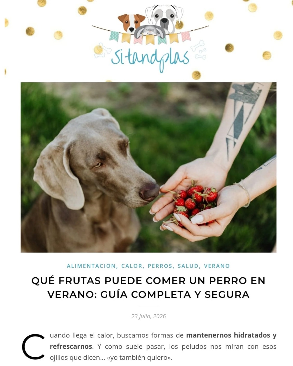 Se que ha pasado bastante tiempo desde la última publicación y quiero compensaros mi ausencia con estas recomendaciones tan fantásticas 😊. Toda una selección de Frutas para ayudar a vuestros peludos a refrescarse de manera saludable y sabrosa. 🍉🍈🍎🍐
.
.
.
#healthydog #refreshed #dogfood #doginstagram #dogblog #fruta