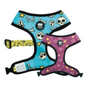 Conjunto Calaveras Dukier
