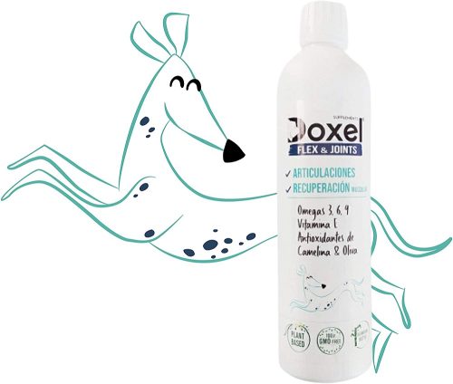 Doxel Articulaciones