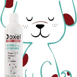 Doxel Puppy Junior