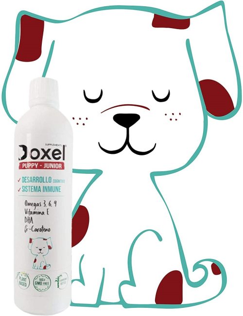 Doxel Puppy Junior