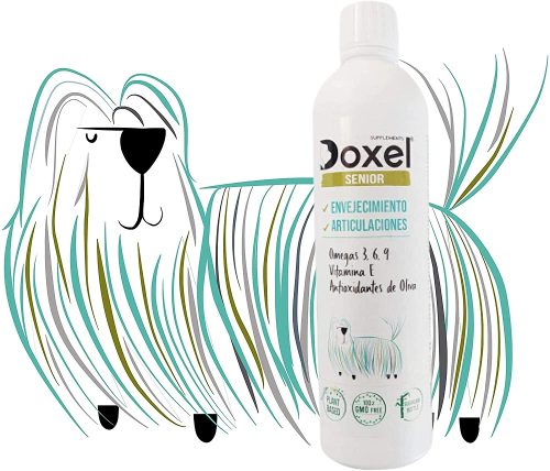 Doxel Senior