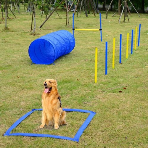 Set entrenamiento Agility - Imagen 5