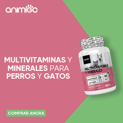 ANI_Multivitamins_and_Minerals